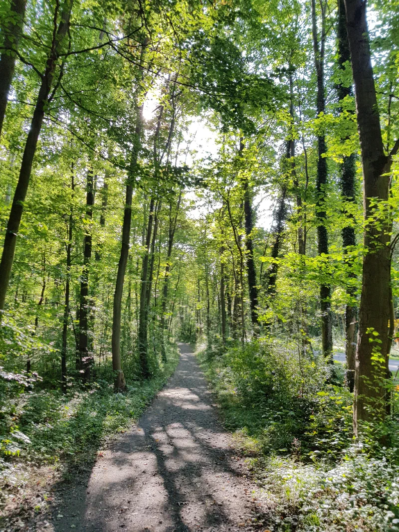 Foto aus Bad Nauheim