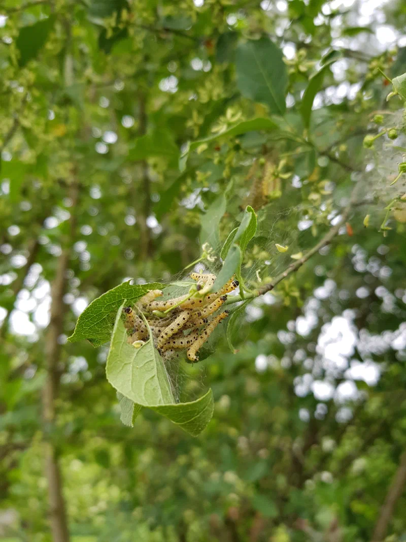 Foto aus Bad Nauheim